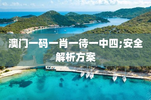 澳門一碼一肖一待一中四;安全解析方案