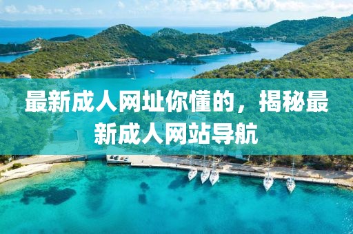 最新成人網(wǎng)址你懂的，揭秘最新成人網(wǎng)站導(dǎo)航