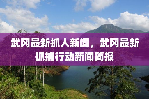 武岡最新抓人新聞，武岡最新抓捕行動(dòng)新聞簡報(bào)