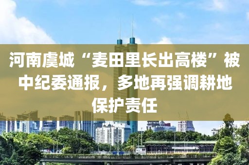 河南虞城“麥田里長出高樓”被中紀(jì)委通報，多地再強調(diào)耕地保護責(zé)任