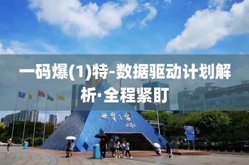 一碼爆(1)特-數(shù)據(jù)驅(qū)動計(jì)劃解析·全程緊盯