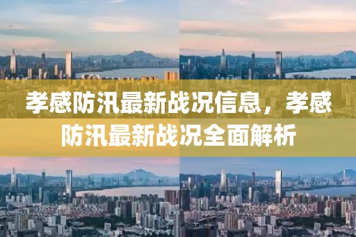 孝感防汛最新戰(zhàn)況信息，孝感防汛最新戰(zhàn)況全面解析