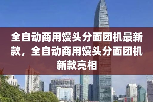 全自動商用饅頭分面團機最新款，全自動商用饅頭分面團機新款亮相
