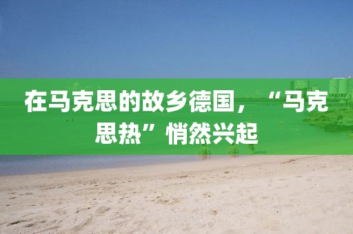 在馬克思的故鄉(xiāng)德國(guó)，“馬克思熱”悄然興起