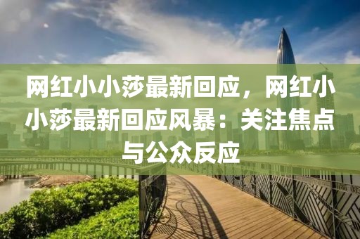 網(wǎng)紅小小莎最新回應(yīng)，網(wǎng)紅小小莎最新回應(yīng)風(fēng)暴：關(guān)注焦點(diǎn)與公眾反應(yīng)