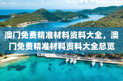 澳門(mén)免費(fèi)精準(zhǔn)材料資料大全，澳門(mén)免費(fèi)精準(zhǔn)材料資料大全總覽