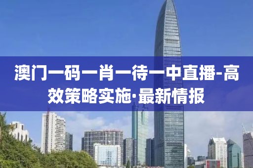 澳門一碼一肖一待一中直播-高效策略實(shí)施·最新情報(bào)