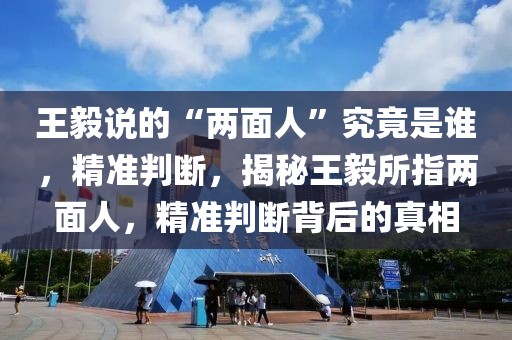 王毅說(shuō)的“兩面人”究竟是誰(shuí)，精準(zhǔn)判斷，揭秘王毅所指兩面人，精準(zhǔn)判斷背后的真相