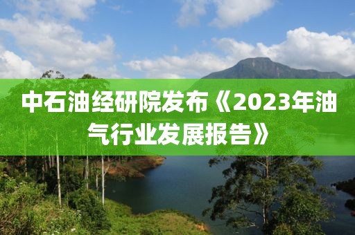 中石油經(jīng)研院發(fā)布《2023年油氣行業(yè)發(fā)展報(bào)告》