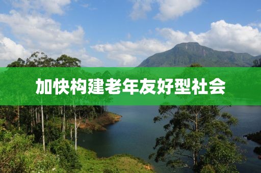 加快構(gòu)建老年友好型社會