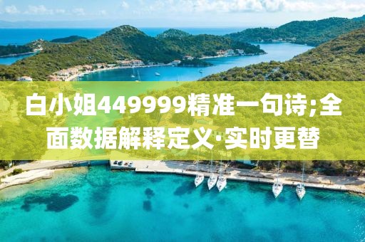 白小姐449999精準(zhǔn)一句詩;全面數(shù)據(jù)解釋定義·實時更替