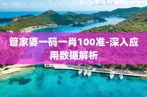 管家婆一碼一肖100準(zhǔn)-深入應(yīng)用數(shù)據(jù)解析