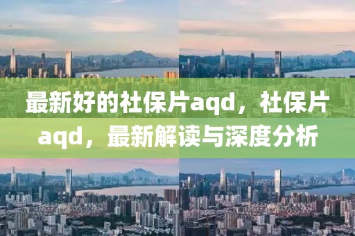 最新好的社保片aqd，社保片aqd，最新解讀與深度分析