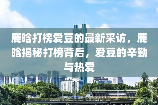 鹿晗打榜愛(ài)豆的最新采訪，鹿晗揭秘打榜背后，愛(ài)豆的辛勤與熱愛(ài)