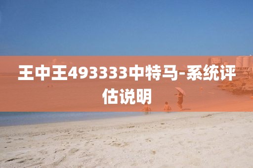王中王493333中特馬-系統(tǒng)評估說明