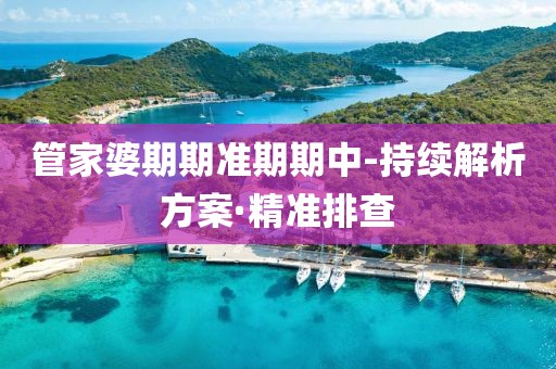 管家婆期期準(zhǔn)期期中-持續(xù)解析方案·精準(zhǔn)排查