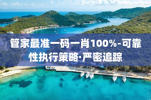 管家最準一碼一肖100%-可靠性執(zhí)行策略·嚴密追蹤