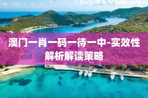 澳門一肖一碼一待一中-實(shí)效性解析解讀策略