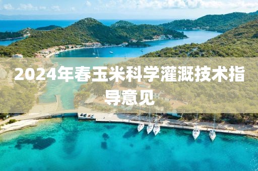 2024年春玉米科學(xué)灌溉技術(shù)指導(dǎo)意見(jiàn)