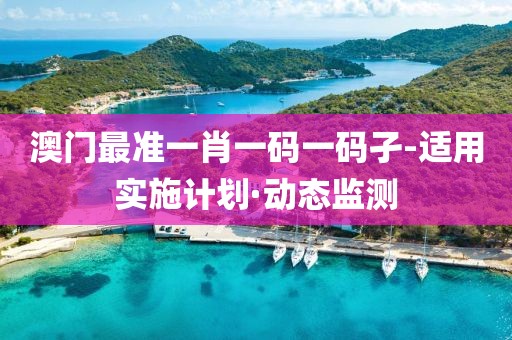 澳門最準(zhǔn)一肖一碼一碼孑-適用實(shí)施計(jì)劃·動態(tài)監(jiān)測