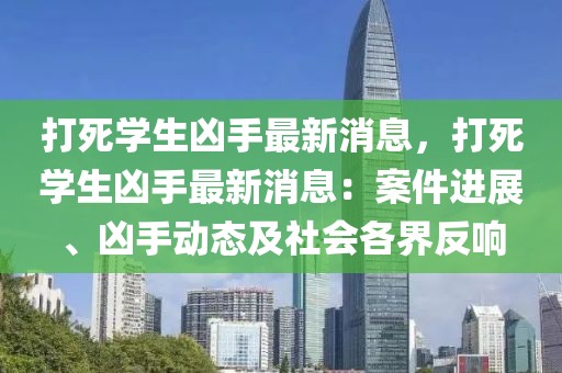 打死學(xué)生兇手最新消息，打死學(xué)生兇手最新消息：案件進(jìn)展、兇手動(dòng)態(tài)及社會(huì)各界反響