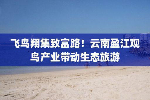 飛鳥翔集致富路！云南盈江觀鳥產(chǎn)業(yè)帶動生態(tài)旅游
