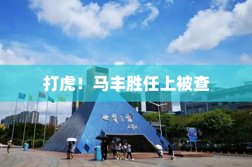 打虎！馬豐勝任上被查