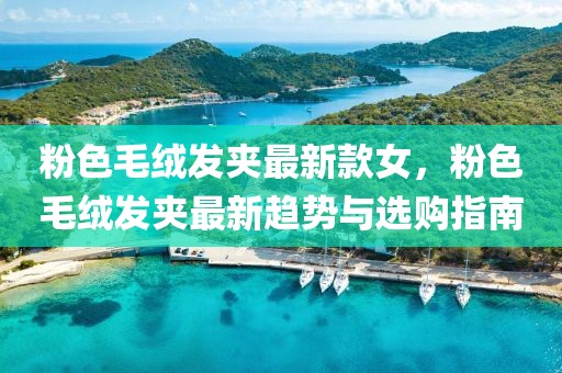 粉色毛絨發(fā)夾最新款女，粉色毛絨發(fā)夾最新趨勢(shì)與選購(gòu)指南