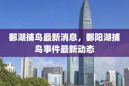鄱湖捕鳥(niǎo)最新消息，鄱陽(yáng)湖捕鳥(niǎo)事件最新動(dòng)態(tài)