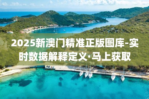 2025新澳門(mén)精準(zhǔn)正版圖庫(kù)-實(shí)時(shí)數(shù)據(jù)解釋定義·馬上獲取