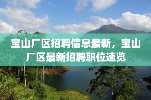 寶山廠區(qū)招聘信息最新，寶山廠區(qū)最新招聘職位速覽