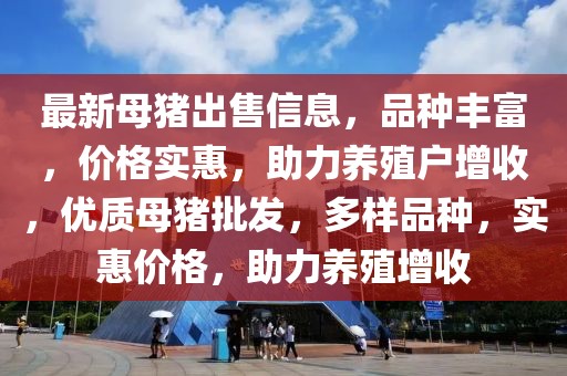 最新母豬出售信息，品種豐富，價(jià)格實(shí)惠，助力養(yǎng)殖戶增收，優(yōu)質(zhì)母豬批發(fā)，多樣品種，實(shí)惠價(jià)格，助力養(yǎng)殖增收