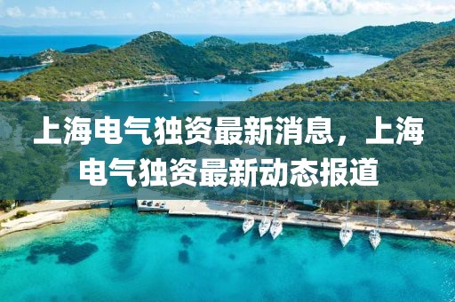 上海電氣獨資最新消息，上海電氣獨資最新動態(tài)報道