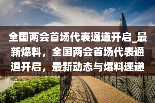全國兩會(huì)首場(chǎng)代表通道開啟_最新爆料，全國兩會(huì)首場(chǎng)代表通道開啟，最新動(dòng)態(tài)與爆料速遞
