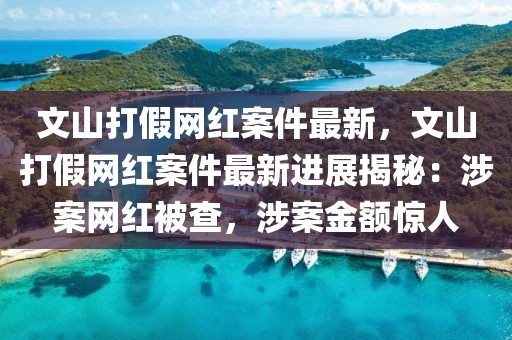文山打假網(wǎng)紅案件最新，文山打假網(wǎng)紅案件最新進展揭秘：涉案網(wǎng)紅被查，涉案金額驚人
