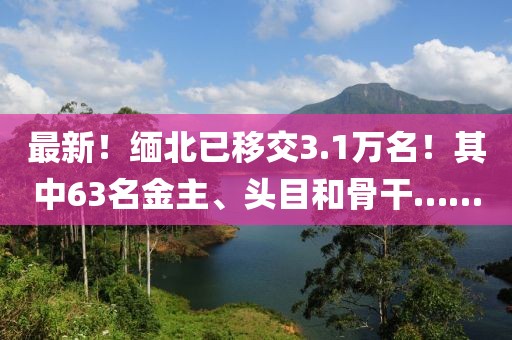 最新！緬北已移交3.1萬名！其中63名金主、頭目和骨干……