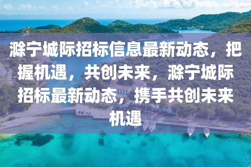 滁寧城際招標(biāo)信息最新動(dòng)態(tài)，把握機(jī)遇，共創(chuàng)未來(lái)，滁寧城際招標(biāo)最新動(dòng)態(tài)，攜手共創(chuàng)未來(lái)機(jī)遇