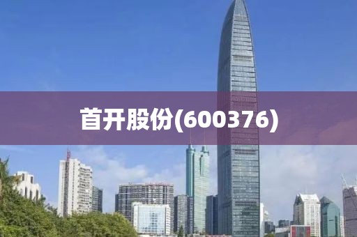 首開(kāi)股份(600376)