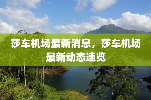 莎車機場最新消息，莎車機場最新動態(tài)速覽
