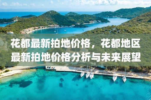 花都最新拍地價(jià)格，花都地區(qū)最新拍地價(jià)格分析與未來展望