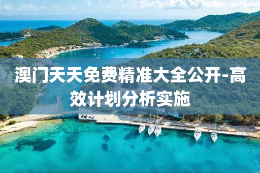 澳門天天免費精準(zhǔn)大全公開-高效計劃分析實施