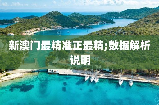 新澳門最精準正最精;數據解析說明