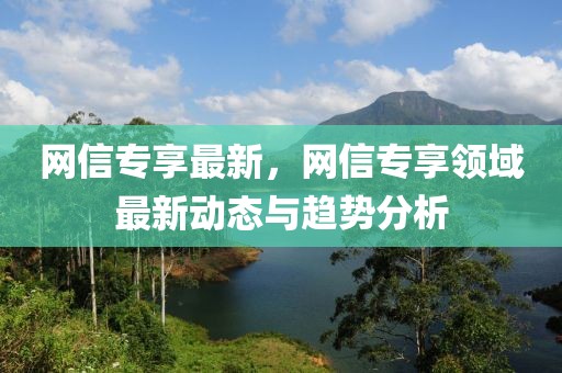 網(wǎng)信專享最新，網(wǎng)信專享領(lǐng)域最新動態(tài)與趨勢分析
