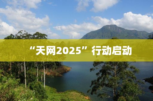 “天網(wǎng)2025”行動啟動