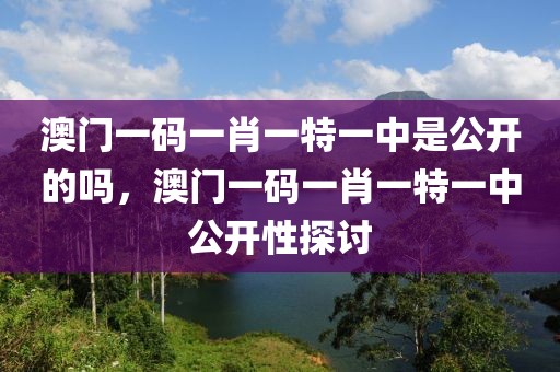 澳門一碼一肖一特一中是公開的嗎，澳門一碼一肖一特一中公開性探討