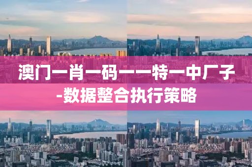 澳門一肖一碼一一特一中廠子-數(shù)據(jù)整合執(zhí)行策略