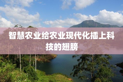 智慧農(nóng)業(yè)給農(nóng)業(yè)現(xiàn)代化插上科技的翅膀