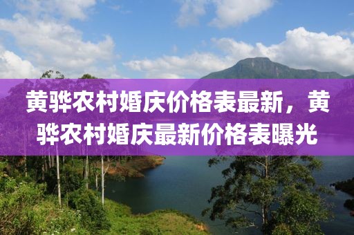 黃驊農(nóng)村婚慶價(jià)格表最新，黃驊農(nóng)村婚慶最新價(jià)格表曝光