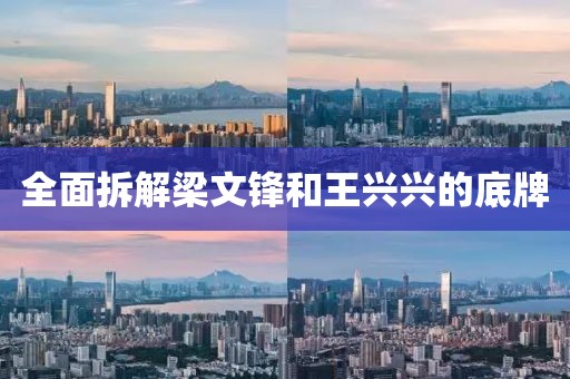 全面拆解梁文鋒和王興興的底牌