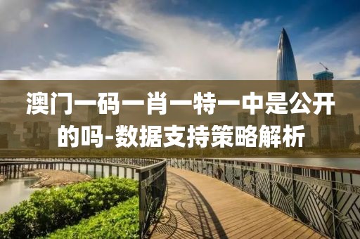 澳門一碼一肖一特一中是公開(kāi)的嗎-數(shù)據(jù)支持策略解析
